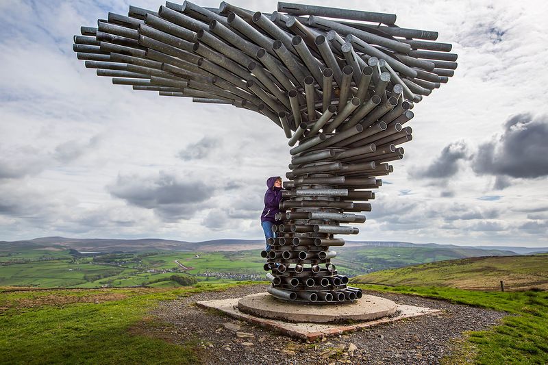 В чём смысл жизни, брат?